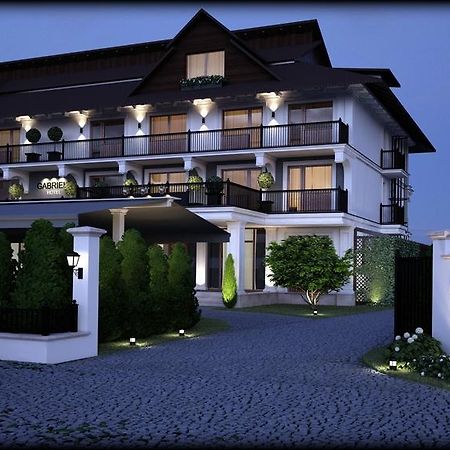 Hotel Gabriela Vişeu de Sus Exterior foto